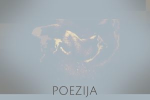 poezija03