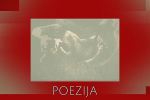 poezija11